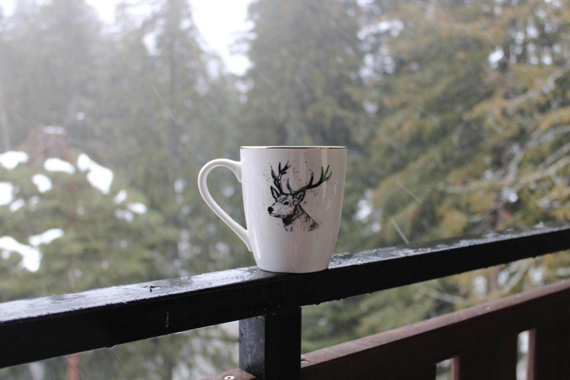 Mountain Studio Asp E63 Borovets Gardens Exterior foto