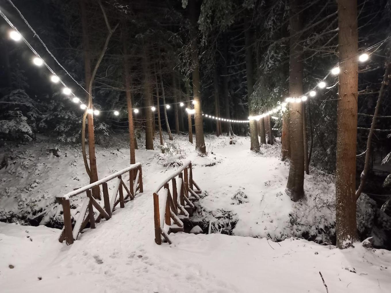 Mountain Studio Asp E63 Borovets Gardens Exterior foto